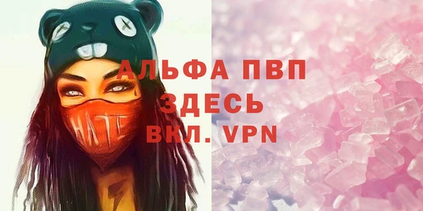 стаф Гусев