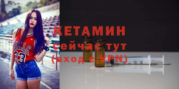стаф Гусев