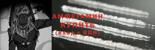 стаф Гусев