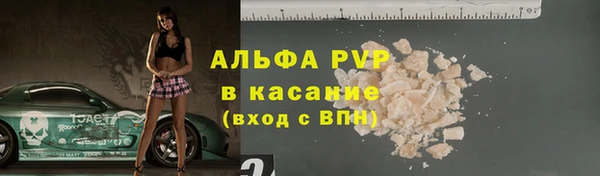 стаф Гусев