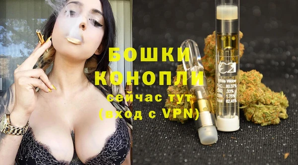 стаф Гусев