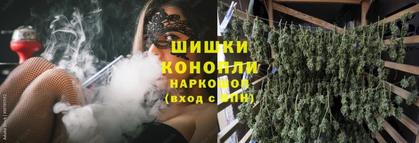 стаф Гусев