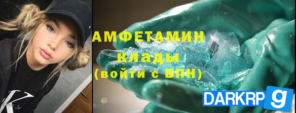 прущие грибы Гусь-Хрустальный