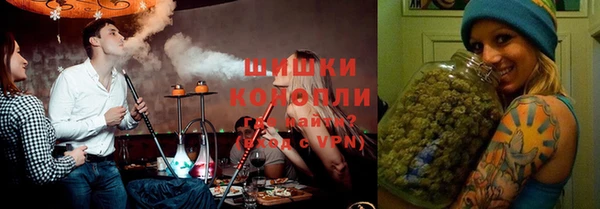 прущие грибы Гусь-Хрустальный