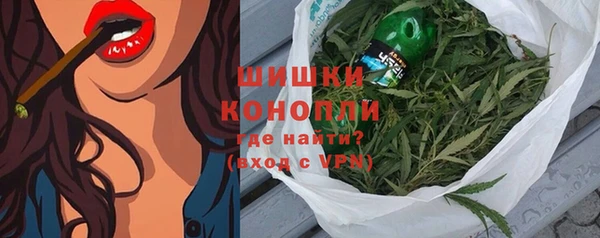прущие грибы Гусь-Хрустальный