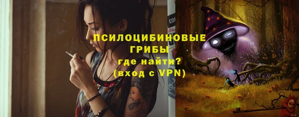 стаф Гусев