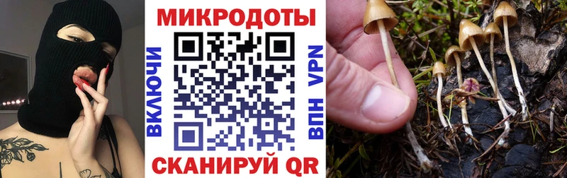 Псилоцибиновые грибы Cubensis  мега как войти  Новомосковск  магазин  наркотиков 